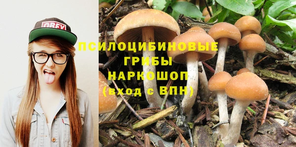 дживик Богданович