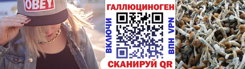 ОМГ ОМГ ТОР  Кольчугино  Псилоцибиновые грибы прущие грибы 