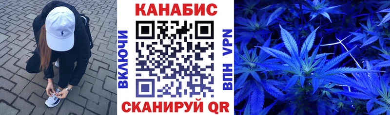 где купить наркоту  Кольчугино  Бошки марихуана SATIVA & INDICA 